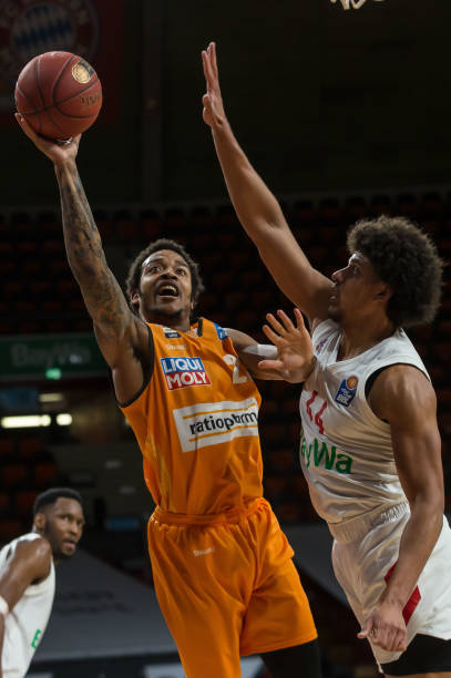 提供了全新 提供了全新